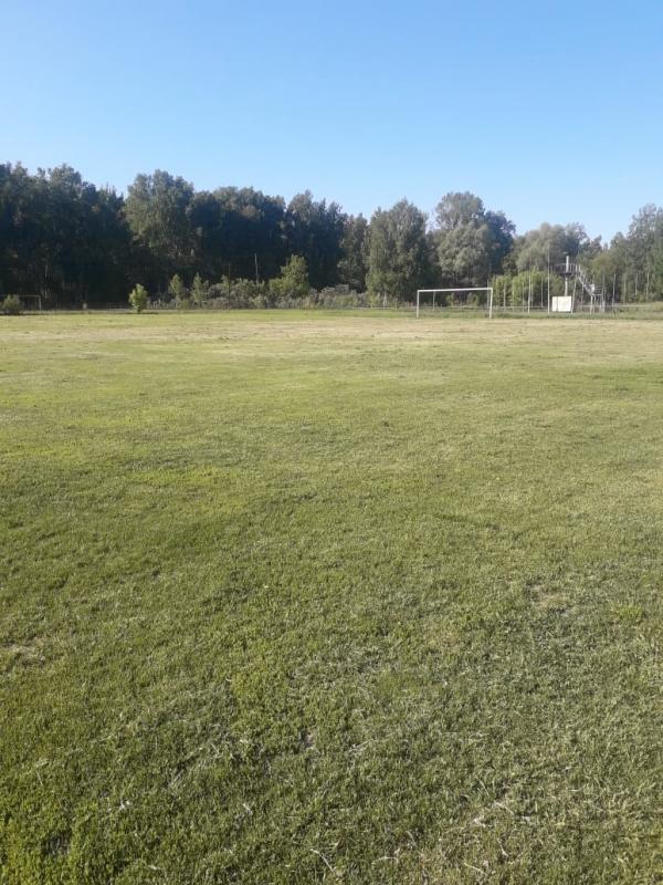 Поддержка в подготовке натурального футбольного поля в п. Лесное